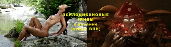 ALPHA PVP Арсеньев